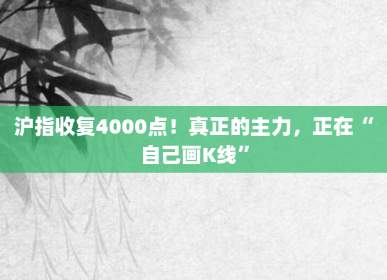 沪指收复4000点！真正的主力，正在“自己画K线”