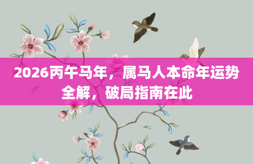 2026丙午马年，属马人本命年运势全解，破局指南在此