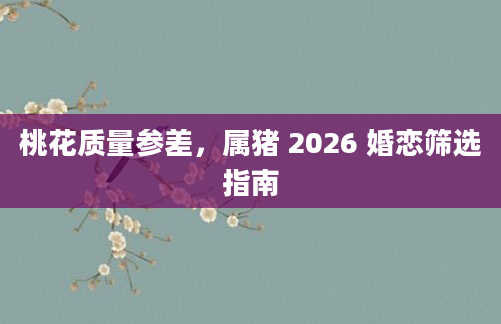 桃花质量参差，属猪 2026 婚恋筛选指南