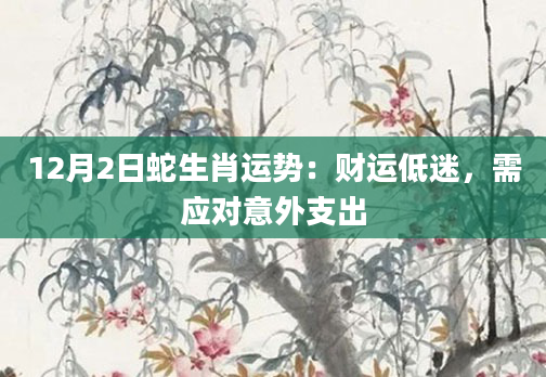 12月2日蛇生肖运势：财运低迷，需应对意外支出
