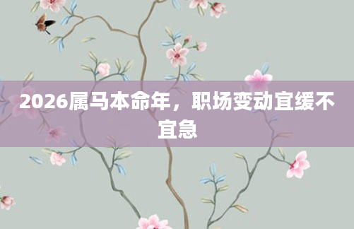 2026属马本命年，职场变动宜缓不宜急