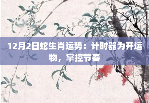 12月2日蛇生肖运势：计时器为开运物，掌控节奏