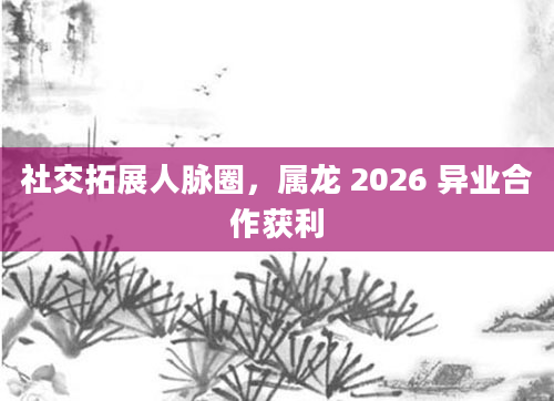 社交拓展人脉圈，属龙 2026 异业合作获利