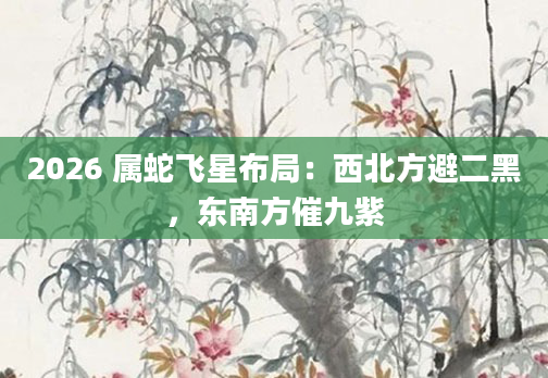 2026 属蛇飞星布局：西北方避二黑，东南方催九紫
