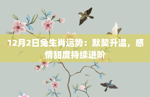 12月2日兔生肖运势：默契升温，感情甜度持续进阶