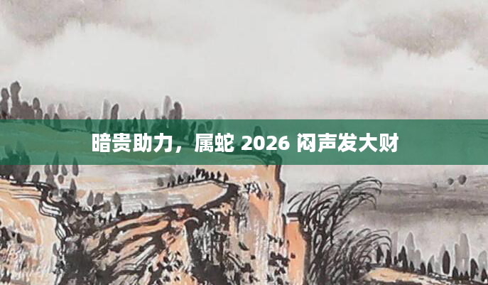暗贵助力，属蛇 2026 闷声发大财