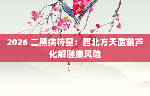 2026 二黑病符星：西北方天医葫芦化解健康风险