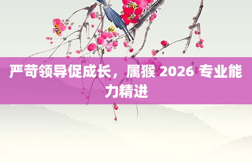 严苛领导促成长，属猴 2026 专业能力精进