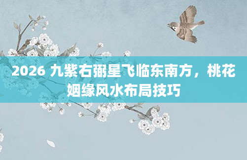 2026 九紫右弼星飞临东南方，桃花姻缘风水布局技巧