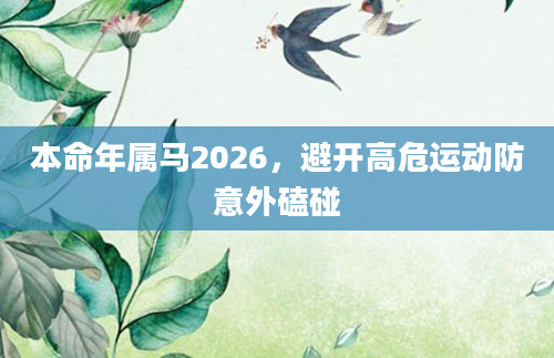 本命年属马2026，避开高危运动防意外磕碰