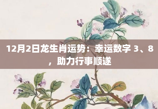 12月2日龙生肖运势：幸运数字 3、8，助力行事顺遂