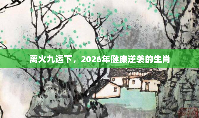 离火九运下，2026年健康逆袭的生肖