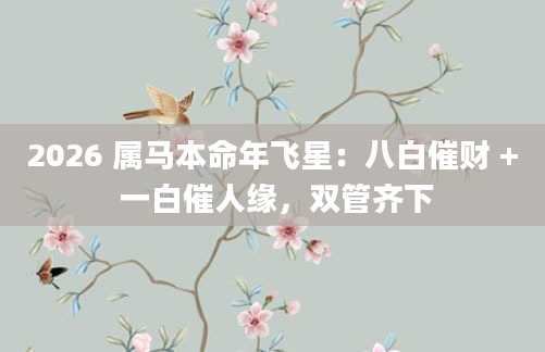 2026 属马本命年飞星：八白催财 + 一白催人缘，双管齐下