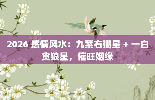 2026 感情风水：九紫右弼星 + 一白贪狼星，催旺姻缘