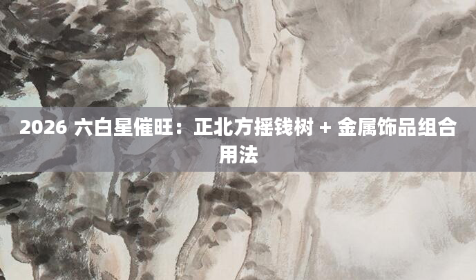 2026 六白星催旺：正北方摇钱树 + 金属饰品组合用法