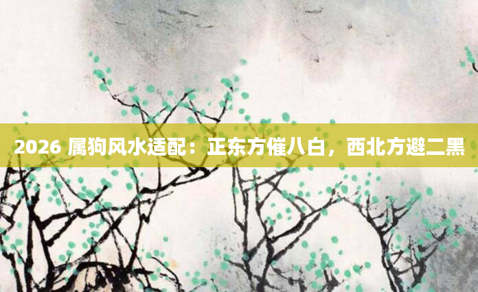 2026 属狗风水适配：正东方催八白，西北方避二黑