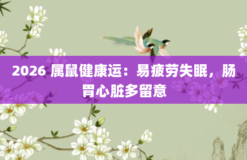 2026 属鼠健康运：易疲劳失眠，肠胃心脏多留意
