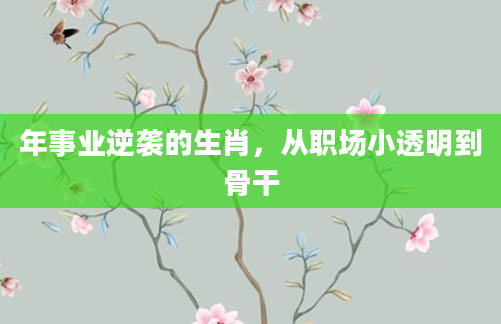 年事业逆袭的生肖，从职场小透明到骨干