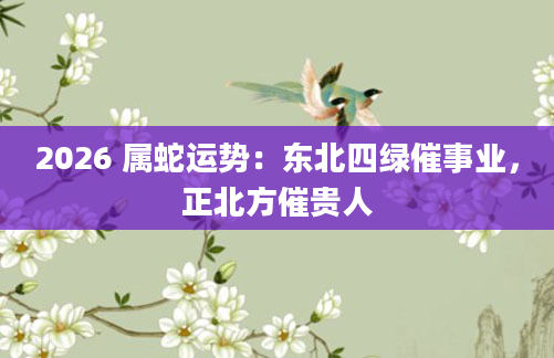 2026 属蛇运势：东北四绿催事业，正北方催贵人