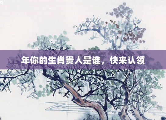 年你的生肖贵人是谁，快来认领