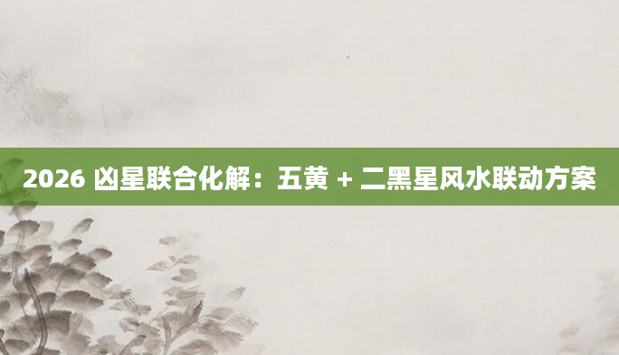 2026 凶星联合化解：五黄 + 二黑星风水联动方案