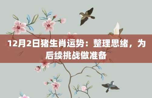 12月2日猪生肖运势：整理思绪，为后续挑战做准备