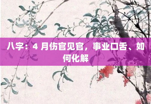 八字：4 月伤官见官，事业口舌、如何化解