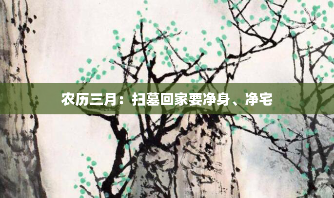 农历三月：扫墓回家要净身、净宅