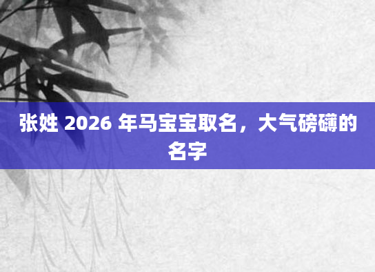 张姓 2026 年马宝宝取名，大气磅礴的名字