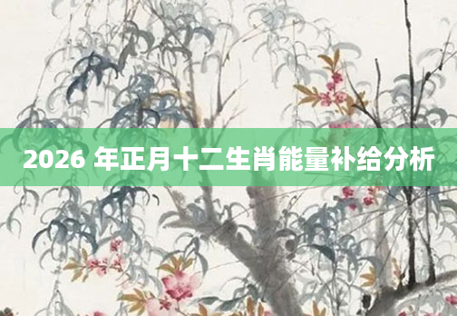 2026 年正月十二生肖能量补给分析