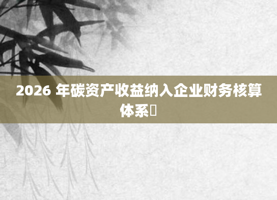 2026 年碳资产收益纳入企业财务核算体系​