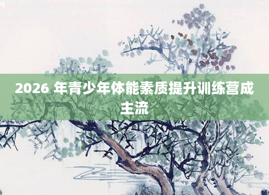 2026 年青少年体能素质提升训练营成主流