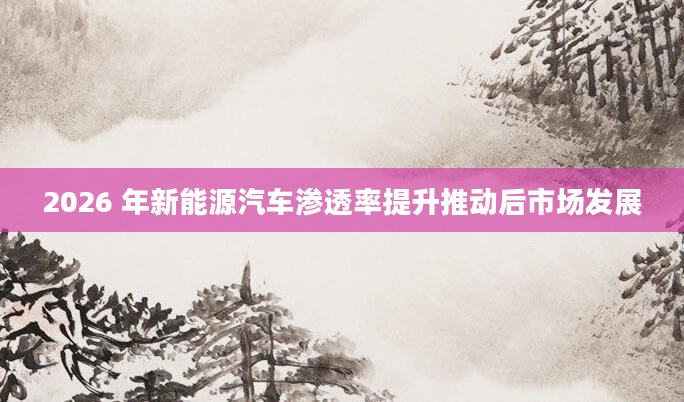 2026 年新能源汽车渗透率提升推动后市场发展