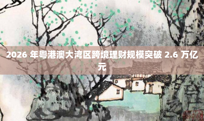 2026 年粤港澳大湾区跨境理财规模突破 2.6 万亿元