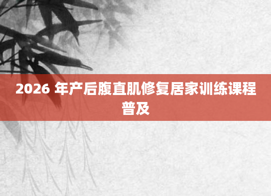 2026 年产后腹直肌修复居家训练课程普及