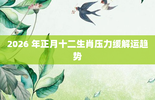 2026 年正月十二生肖压力缓解运趋势