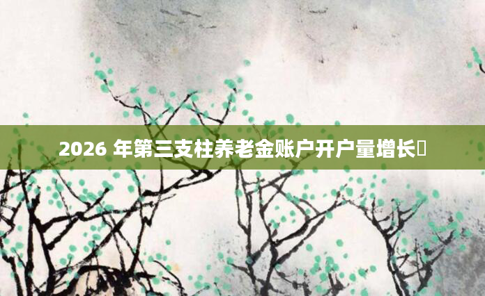 2026 年第三支柱养老金账户开户量增长​