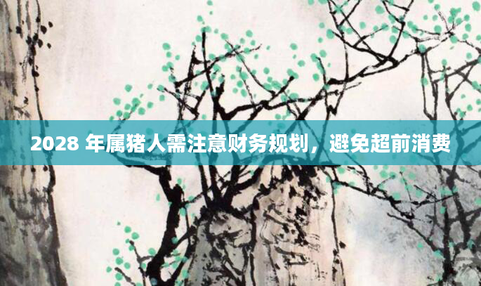 2028 年属猪人需注意财务规划，避免超前消费