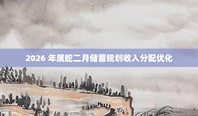 2026 年属蛇二月储蓄规划收入分配优化
