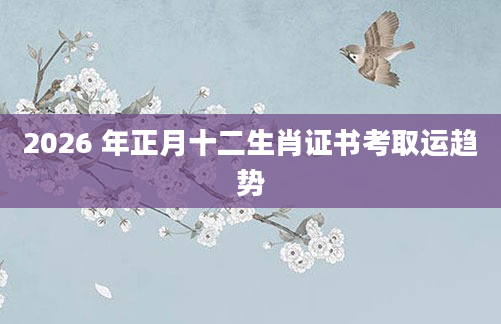 2026 年正月十二生肖证书考取运趋势