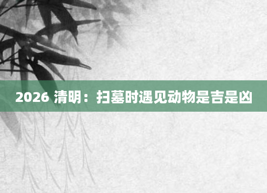 2026 清明：扫墓时遇见动物是吉是凶