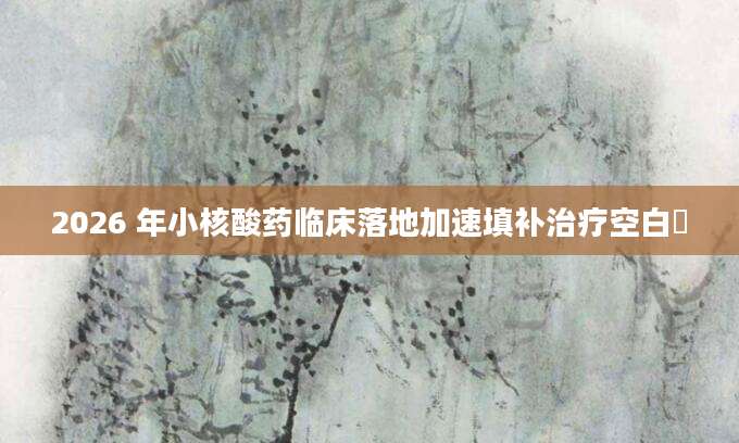 2026 年小核酸药临床落地加速填补治疗空白​