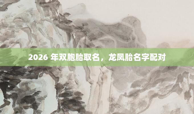 2026 年双胞胎取名，龙凤胎名字配对