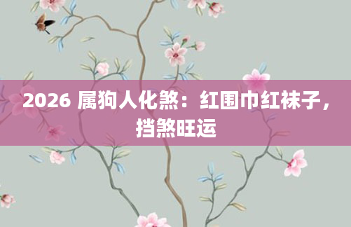 2026 属狗人化煞：红围巾红袜子，挡煞旺运