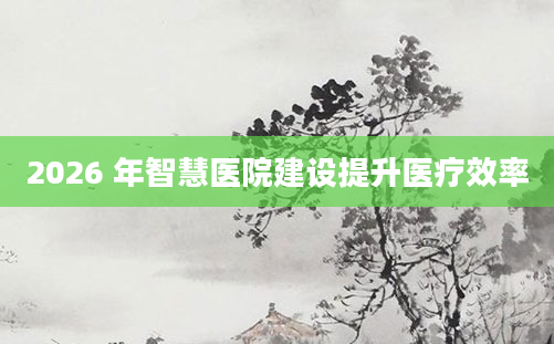 2026 年智慧医院建设提升医疗效率