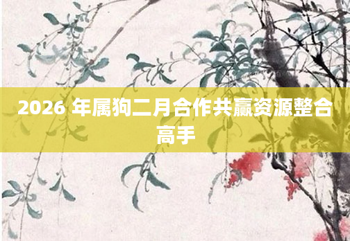 2026 年属狗二月合作共赢资源整合高手