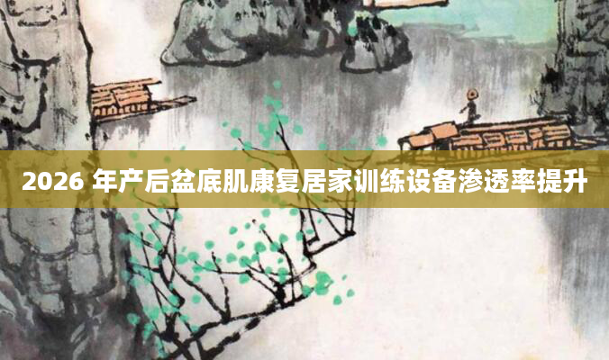 2026 年产后盆底肌康复居家训练设备渗透率提升