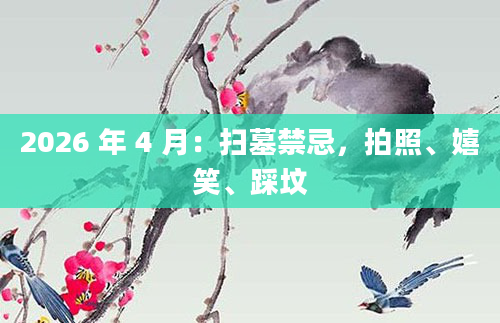 2026 年 4 月：扫墓禁忌，拍照、嬉笑、踩坟