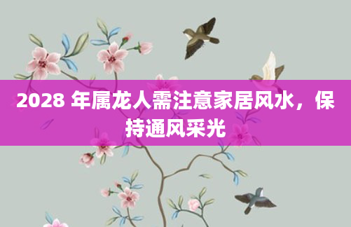 2028 年属龙人需注意家居风水，保持通风采光