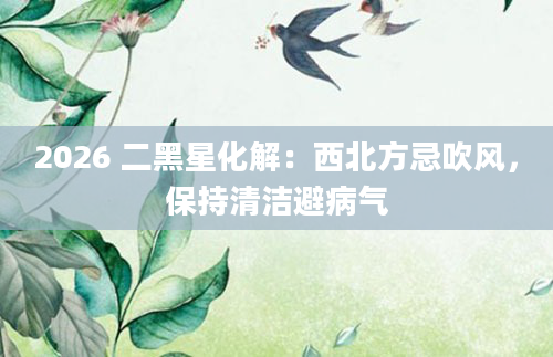 2026 二黑星化解：西北方忌吹风，保持清洁避病气